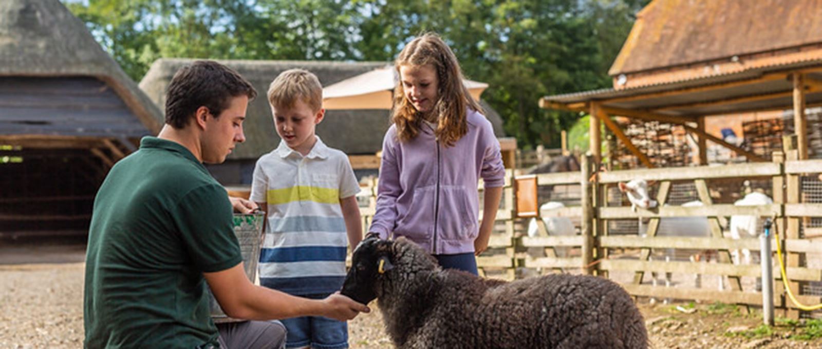 Manor Farm, Hampshire